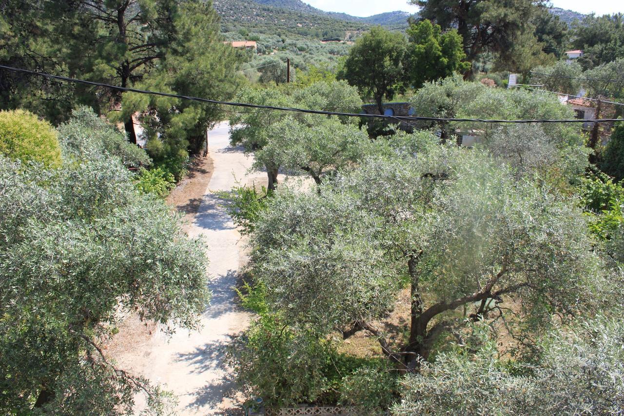 الشقق الفندقية بيفكاريفي  House Ekton المظهر الخارجي الصورة